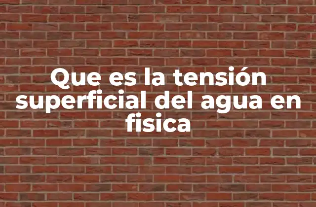 Que es la Tensión Superficial Del Agua en Fisica