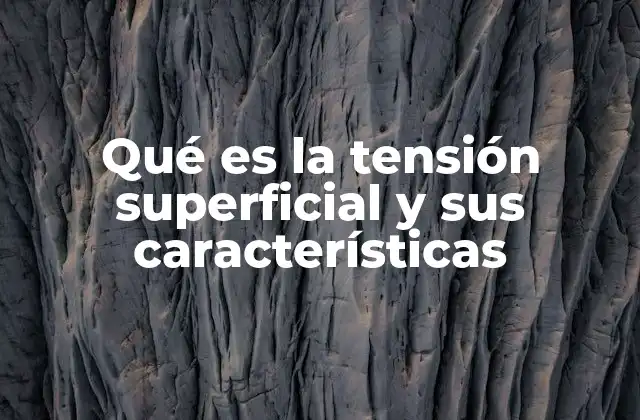 Qué es la Tensión Superficial y Sus Características 2 Cómo se manifiesta la tensión superficial en la vida cotidiana