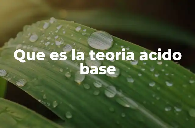 Que es la Teoria Acido Base