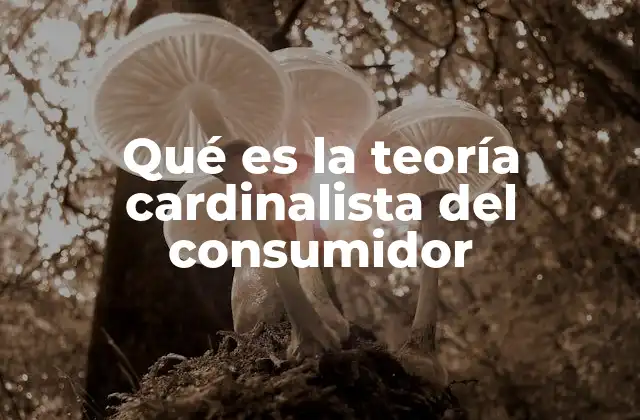 Qué es la Teoría Cardinalista Del Consumidor