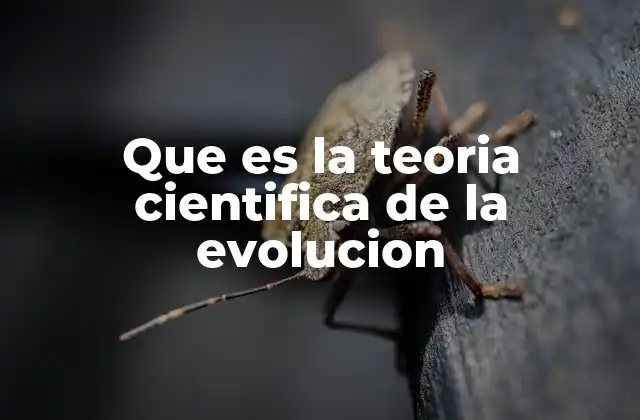 Que es la Teoria Cientifica de la Evolucion 2 La evolución como base de la biología moderna