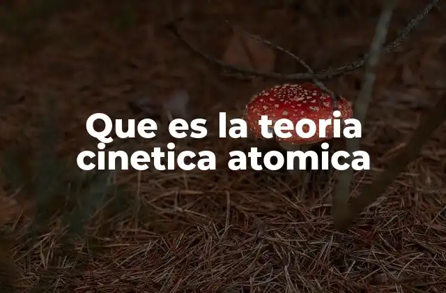 Que es la Teoria Cinetica Atomica