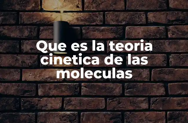 Que es la Teoria Cinetica de las Moleculas