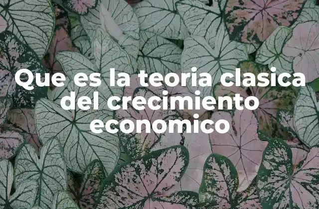Que es la Teoria Clasica Del Crecimiento Economico