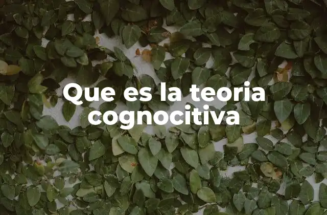 Que es la Teoria Cognocitiva