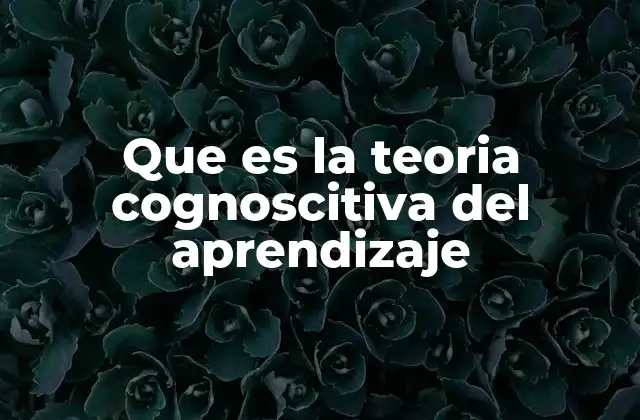 Que es la Teoria Cognoscitiva Del Aprendizaje