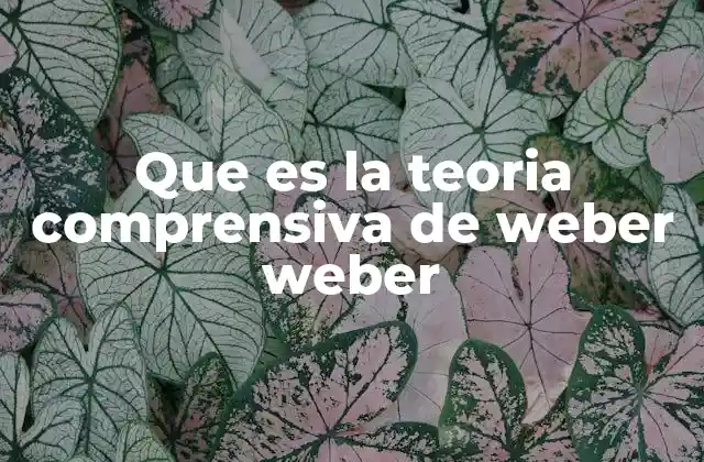 Que es la Teoria Comprensiva de Weber Weber
