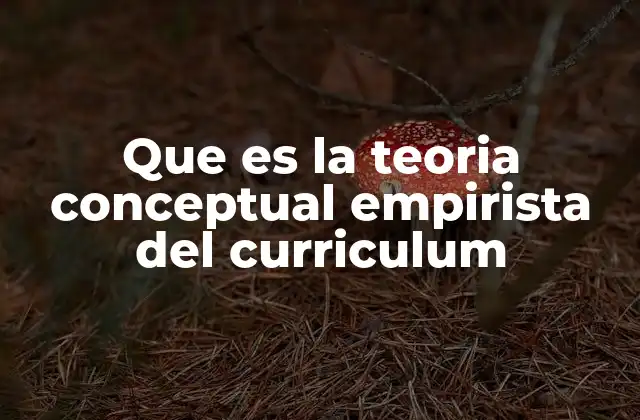 Que es la Teoria Conceptual Empirista Del Curriculum