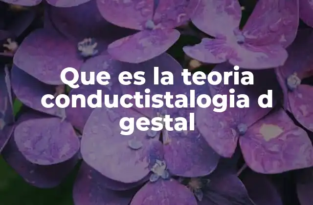 Que es la Teoria Conductistalogia D Gestal