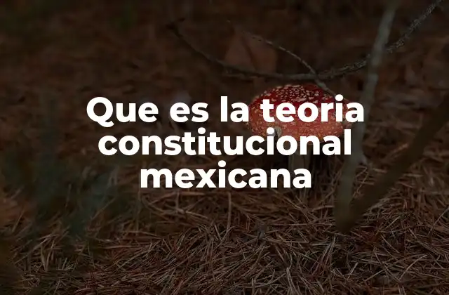 Que es la Teoria Constitucional Mexicana