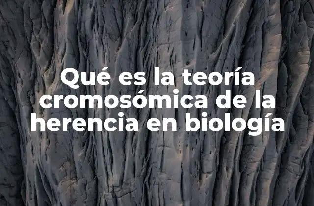Qué es la Teoría Cromosómica de la Herencia en Biología