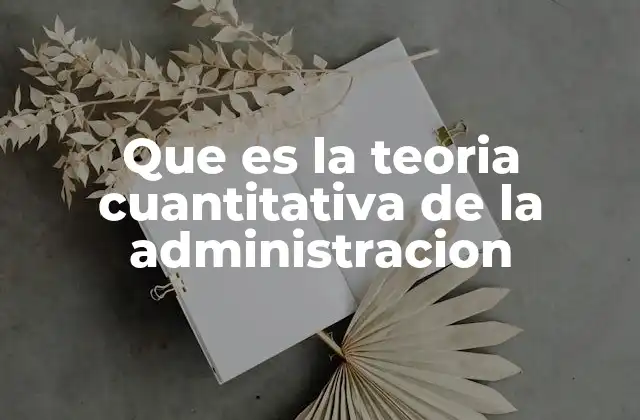 Que es la Teoria Cuantitativa de la Administracion