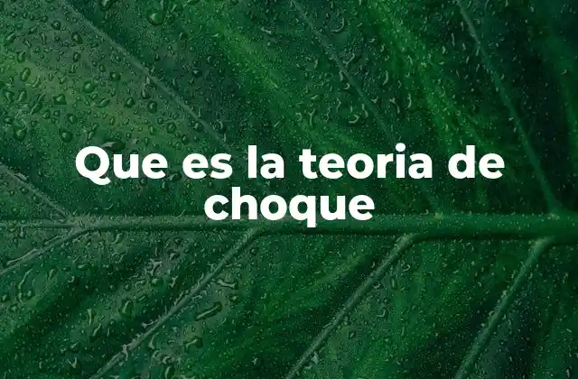 Que es la Teoria de Choque