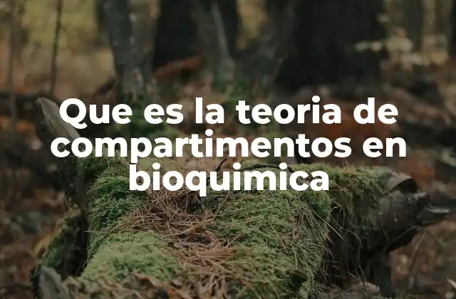Que es la Teoria de Compartimentos en Bioquimica
