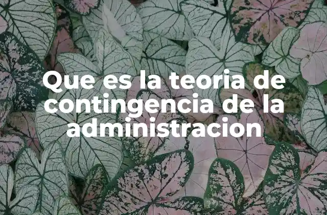 Que es la Teoria de Contingencia de la Administracion