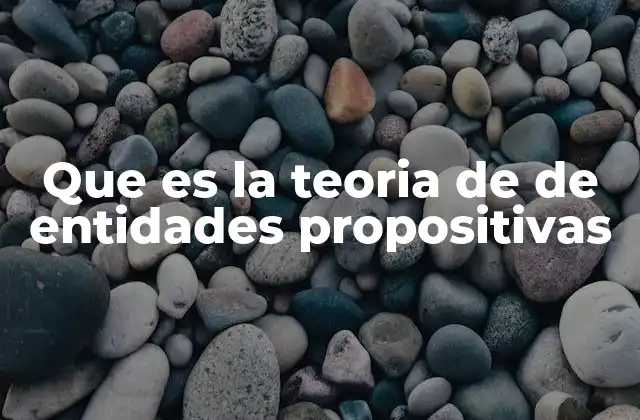 Que es la Teoria de de Entidades Propositivas