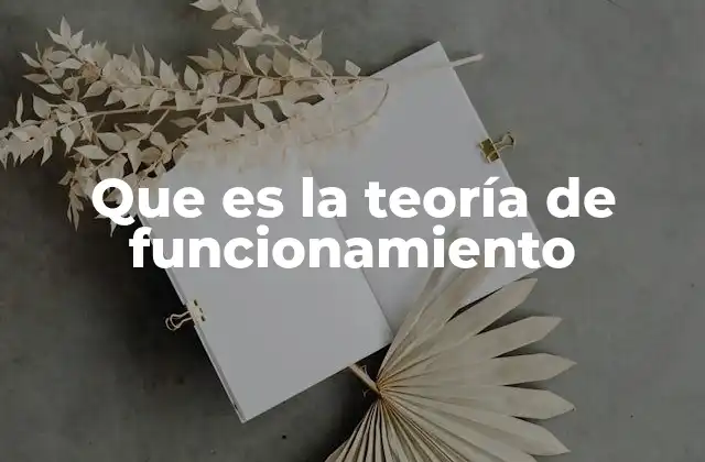 Que es la Teoría de Funcionamiento