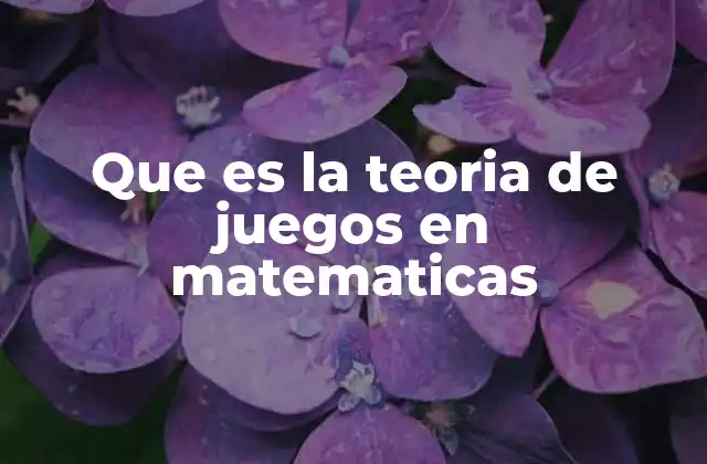 Que es la Teoria de Juegos en Matematicas