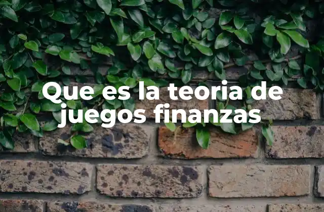 Que es la Teoria de Juegos Finanzas