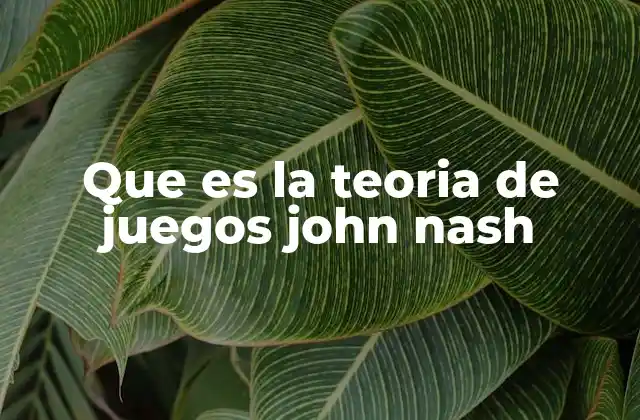 Que es la Teoria de Juegos John Nash