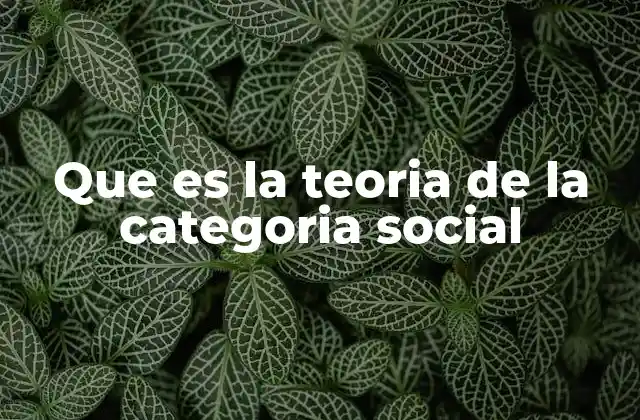 Que es la Teoria de la Categoria Social