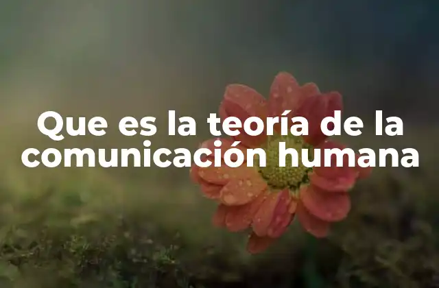 Que es la Teoría de la Comunicación Humana
