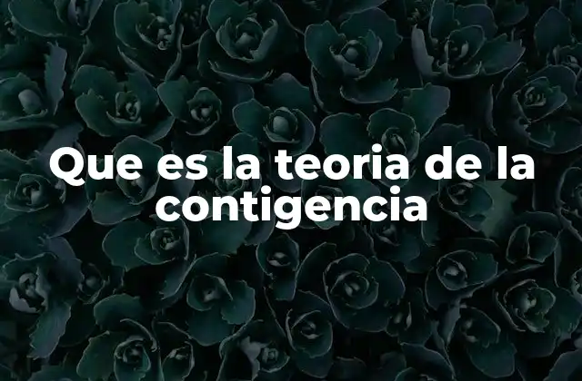 Que es la Teoria de la Contigencia