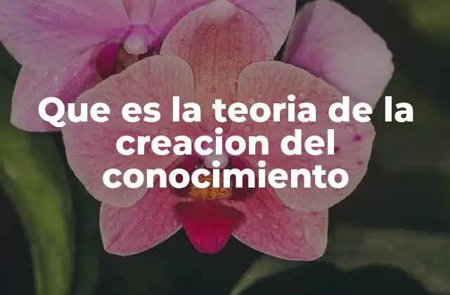 El proceso dinámico detrás del desarrollo del conocimiento