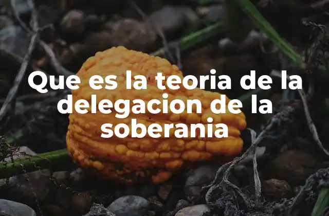 Que es la Teoria de la Delegacion de la Soberania