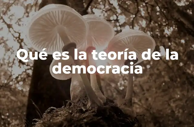 Qué es la Teoría de la Democracia