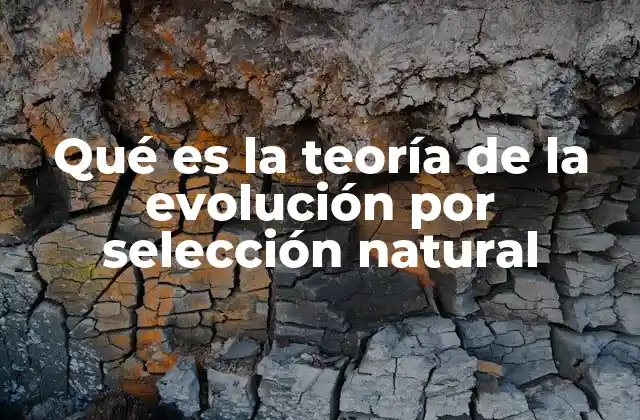 Qué es la Teoría de la Evolución por Selección Natural