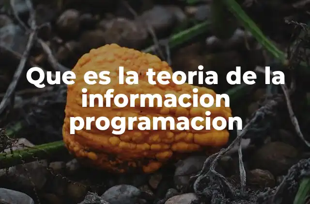 Que es la Teoria de la Informacion Programacion