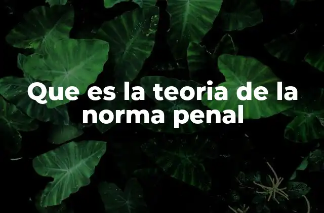 Que es la Teoria de la Norma Penal
