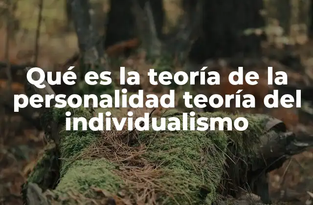 Qué es la Teoría de la Personalidad Teoría Del Individualismo