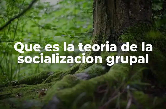 La influencia de los grupos en la formación social