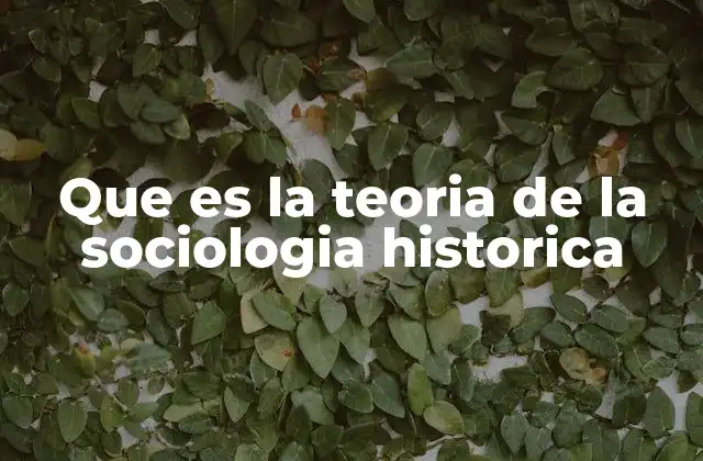 Que es la Teoria de la Sociologia Historica