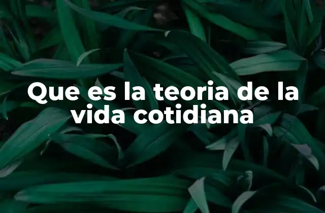 Que es la Teoria de la Vida Cotidiana