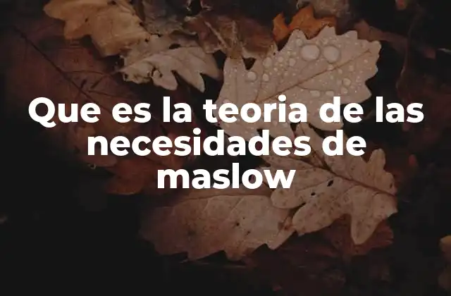Que es la Teoria de las Necesidades de Maslow 2 La evolución de la motivación humana según Maslow