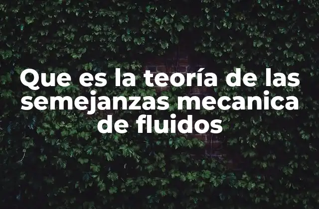 Que es la Teoría de las Semejanzas Mecanica de Fluidos