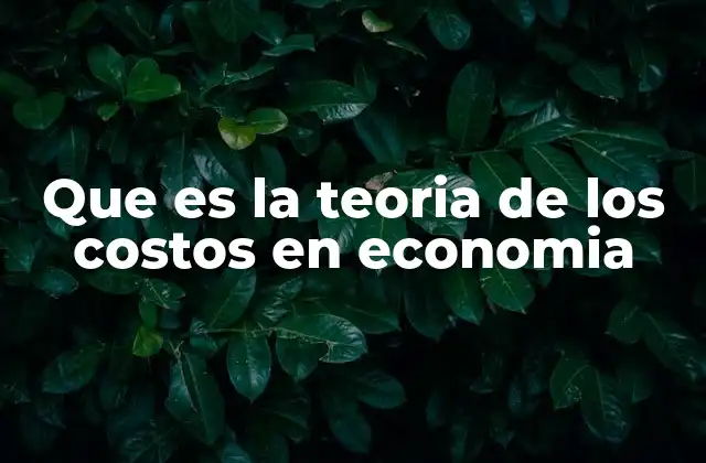 Que es la Teoria de los Costos en Economia