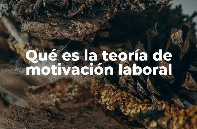 Qué es la Teoría de Motivación Laboral
