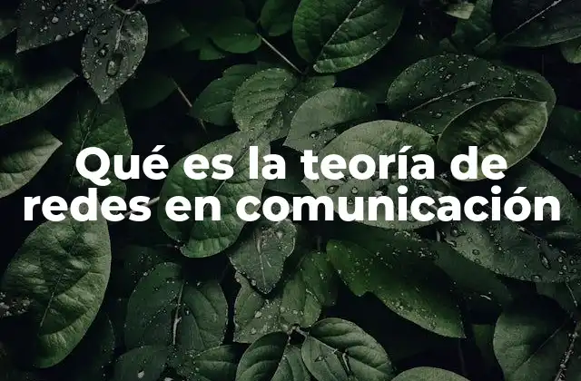 Qué es la Teoría de Redes en Comunicación