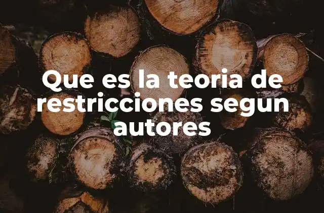 Que es la Teoria de Restricciones Segun Autores