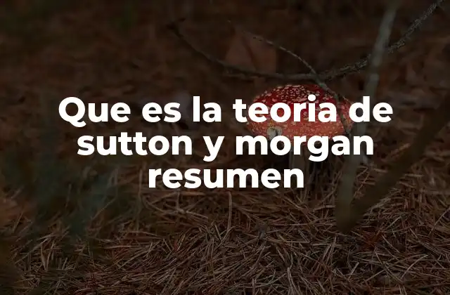Que es la Teoria de Sutton y Morgan Resumen