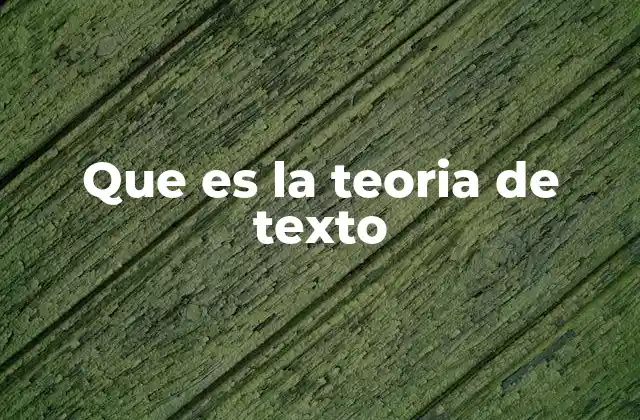 Que es la Teoria de Texto
