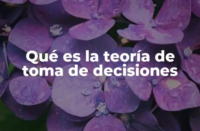Qué es la Teoría de Toma de Decisiones