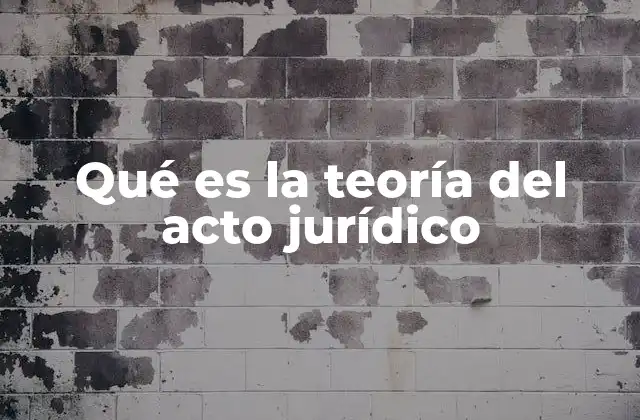 Qué es la Teoría Del Acto Jurídico