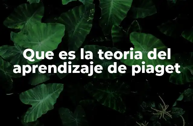 Que es la Teoria Del Aprendizaje de Piaget