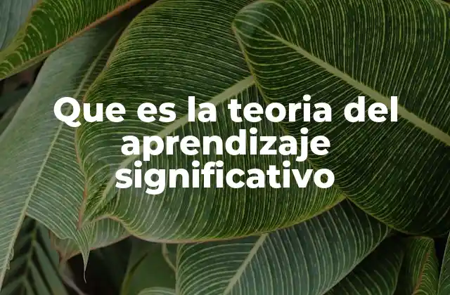 Que es la Teoria Del Aprendizaje Significativo