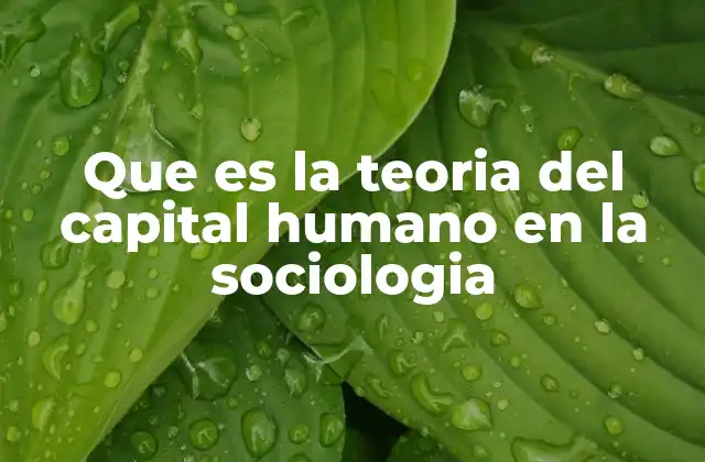 Que es la Teoria Del Capital Humano en la Sociologia